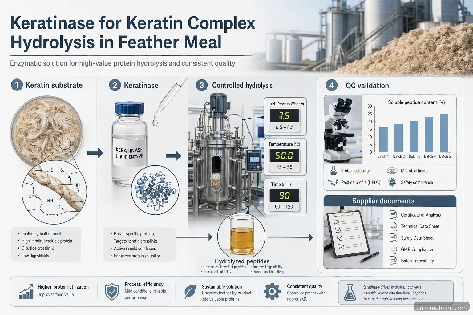 keratin complex hydrolysis in feather meal infographic showing keratinase process controls, QC, and supplier checks