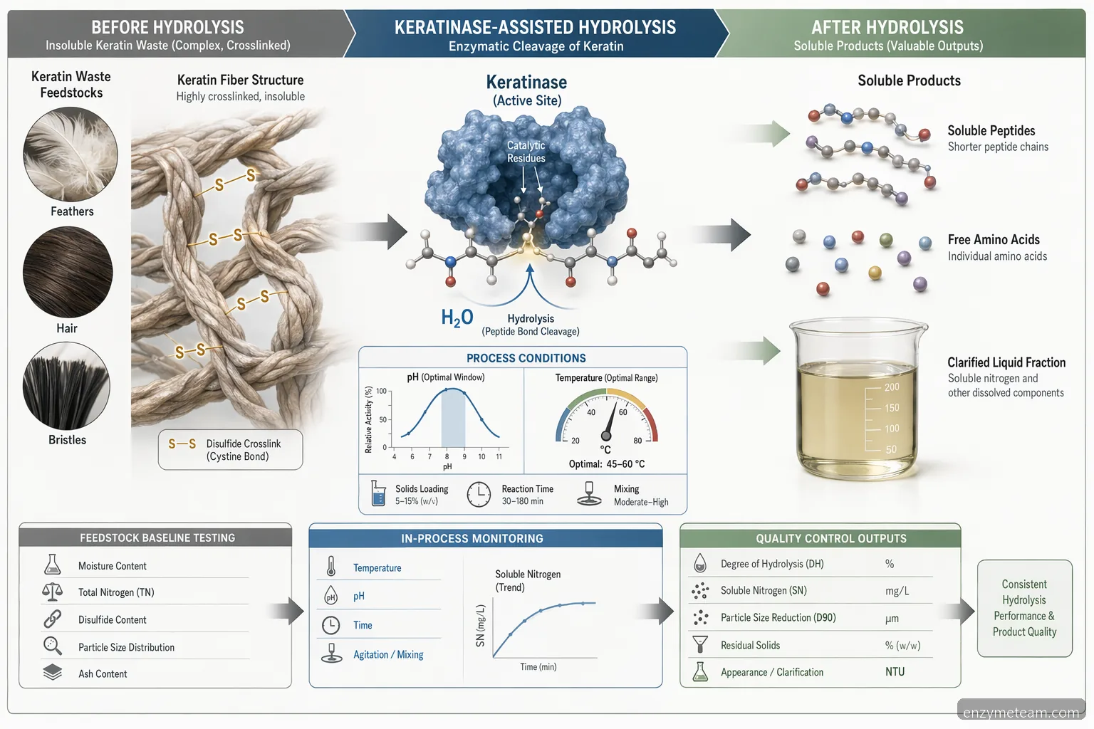 keratin treatment before and after process diagram with keratinase reaction arrows, pH-temperature window, and QC outputs
